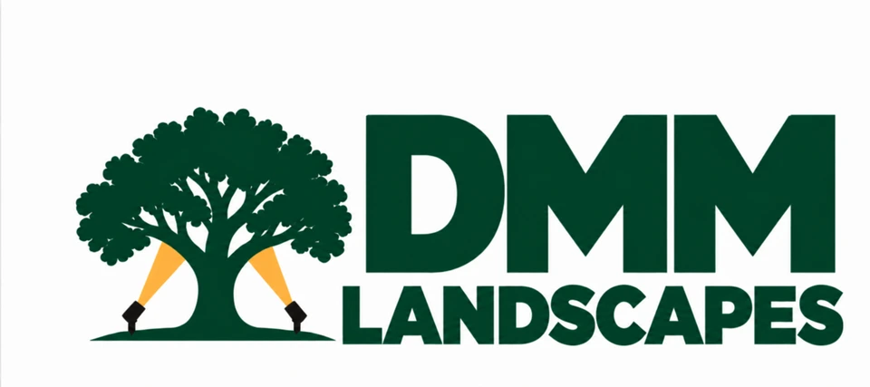 DMM Landscapes